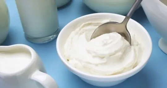greek yogurt and milk