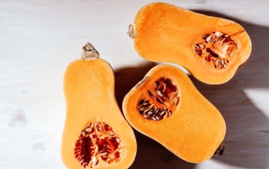 what is butternut squash