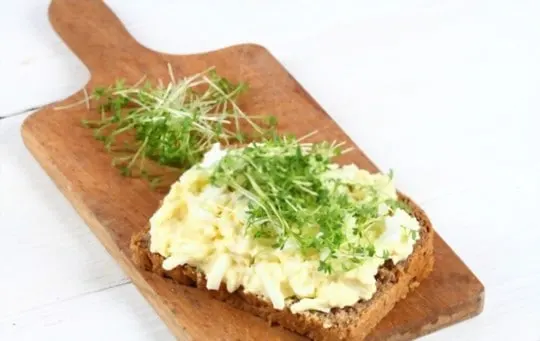 egg and cress sandwich