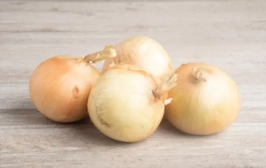 sweet onions