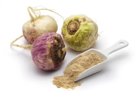 what does maca root and powder taste like