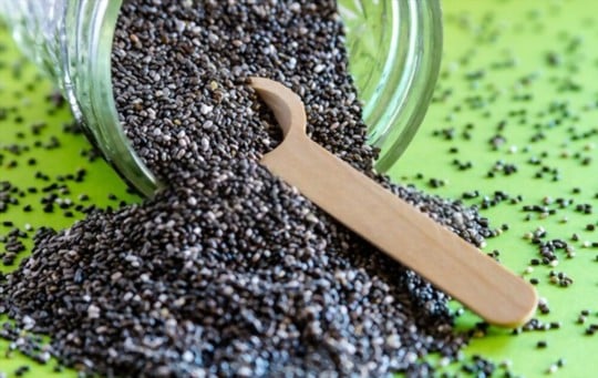 how to prepare and cook chia seeds