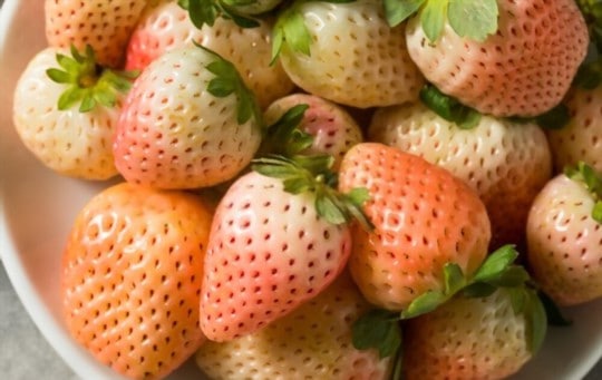 how to prepare and cook pineberries
