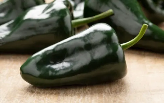 what do poblano peppers taste like