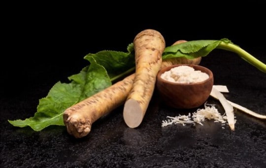 what is horseradish