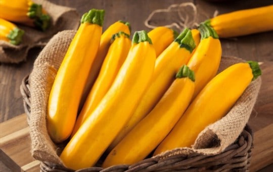 what is yellow squash