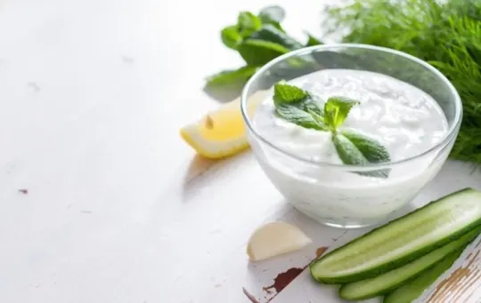yogurt and cucumber dip