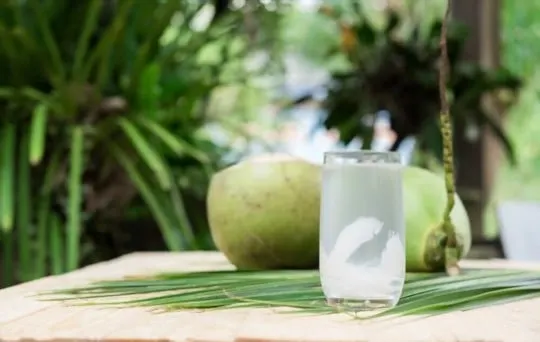how often should you drink coconut water