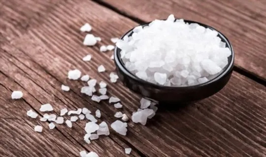 sea salt or noniodized salt
